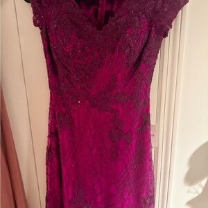 Elegant Rasberry Lace Dress